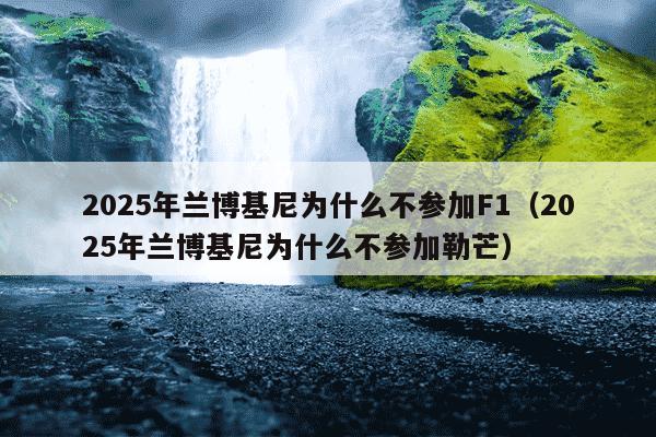 2025年兰博基尼为什么不参加F1（2025年兰博基尼为什么不参加勒芒）