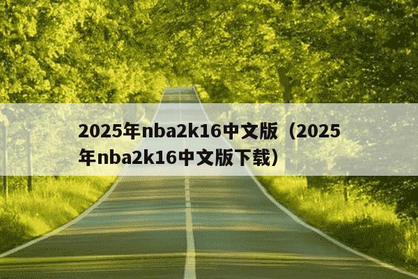 2025年nba2k16中文版（2025年nba2k16中文版下载）