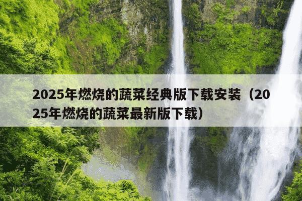 2025年燃烧的蔬菜经典版下载安装（2025年燃烧的蔬菜最新版下载）