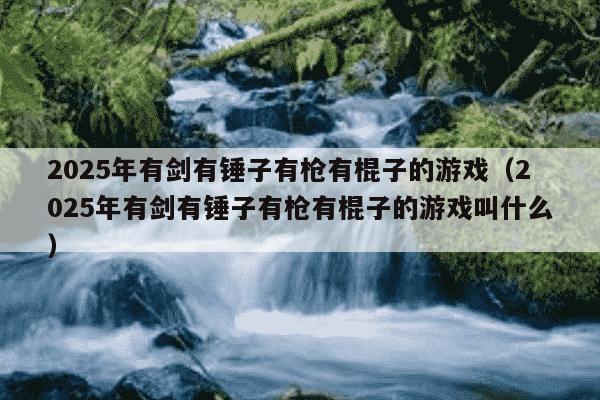 2025年有剑有锤子有枪有棍子的游戏(2025年有剑有锤子有枪有棍子的游戏叫什么)