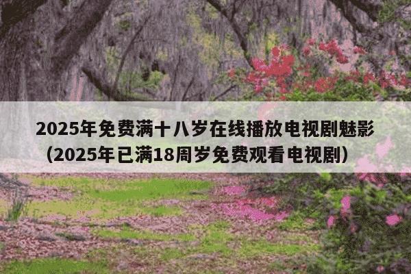 2025年免费满十八岁在线播放电视剧魅影(2025年已满18周岁免费观看电视剧)