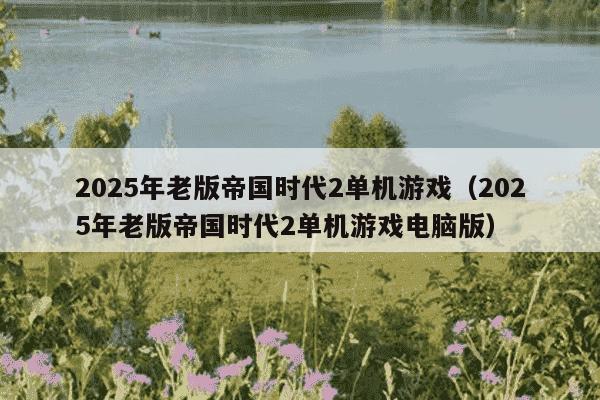 2025年老版帝国时代2单机游戏(2025年老版帝国时代2单机游戏电脑版)