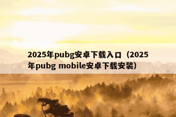 2025年pubg安卓下载入口(2025年pubg mobile安卓下载安装)