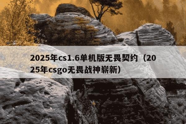 2025年cs1.6单机版无畏契约（2025年csgo无畏战神崭新）