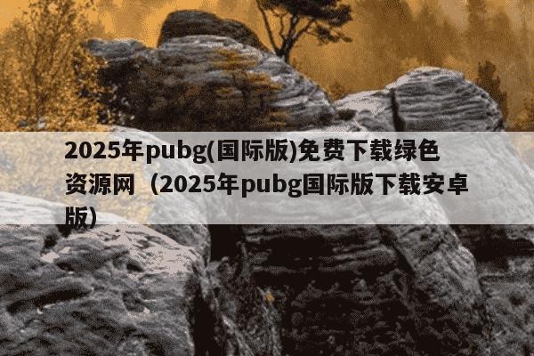 2025年pubg(国际版)免费下载绿色资源网(2025年pubg国际版下载安卓版)