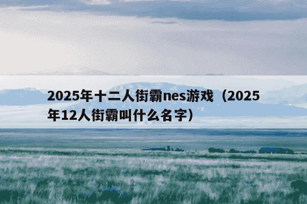 2025年十二人街霸nes游戏(2025年12人街霸叫什么名字)