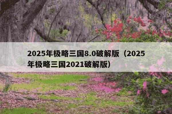 2025年极略三国8.0破解版（2025年极略三国2021破解版）