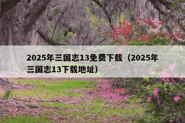 2025年三国志13免费下载(2025年三国志13下载地址)