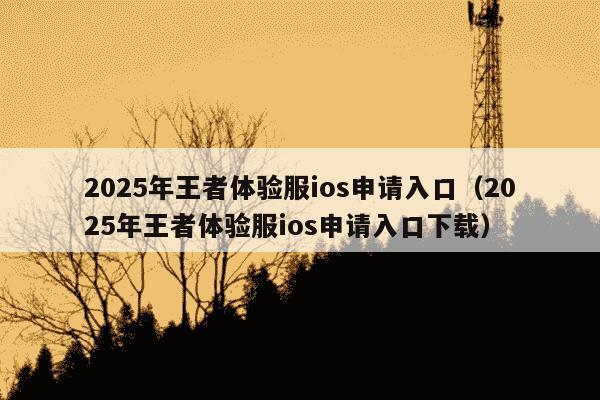 2025年王者体验服ios申请入口(2025年王者体验服ios申请入口下载)