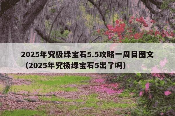 2025年究极绿宝石5.5攻略一周目图文(2025年究极绿宝石5出了吗)