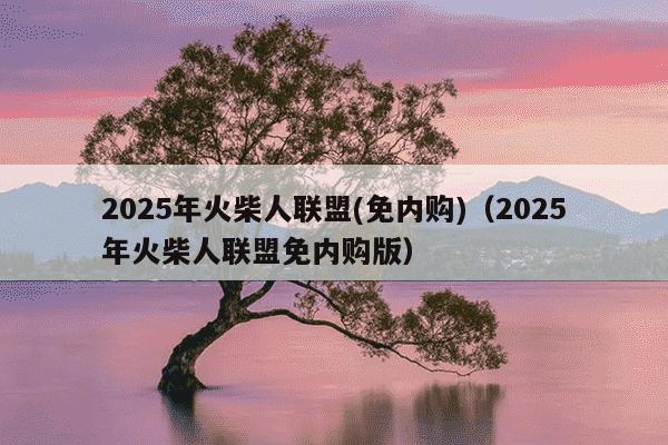 2025年火柴人联盟(免内购)（2025年火柴人联盟免内购版）
