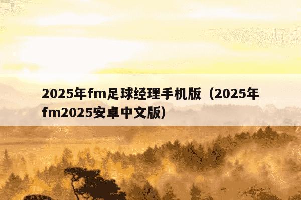 2025年fm足球经理手机版(2025年fm2025安卓中文版)