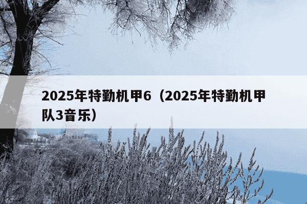 2025年特勤机甲6(2025年特勤机甲队3音乐)