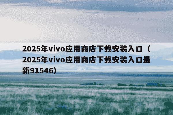 2025年vivo应用商店下载安装入口(2025年vivo应用商店下载安装入口最新91546)