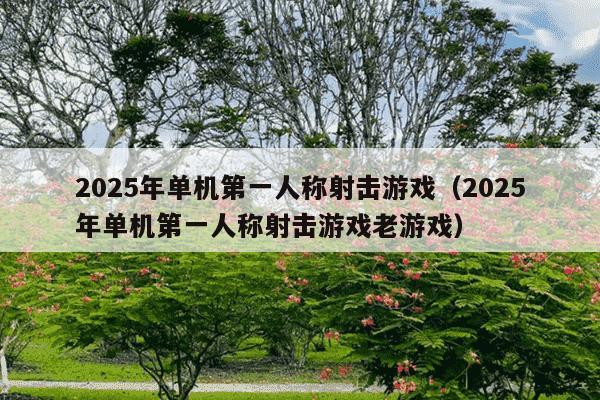 2025年单机第一人称射击游戏(2025年单机第一人称射击游戏老游戏)