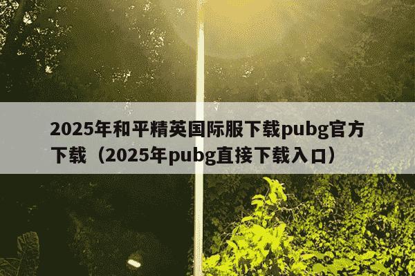 2025年和平精英国际服下载pubg官方下载（2025年pubg直接下载入口）