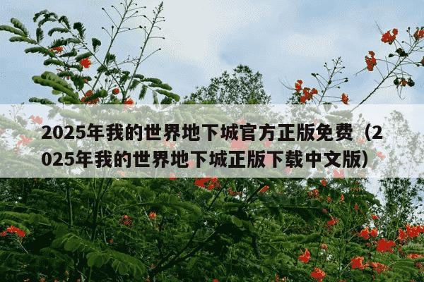 2025年我的世界地下城官方正版免费(2025年我的世界地下城正版下载中文版)