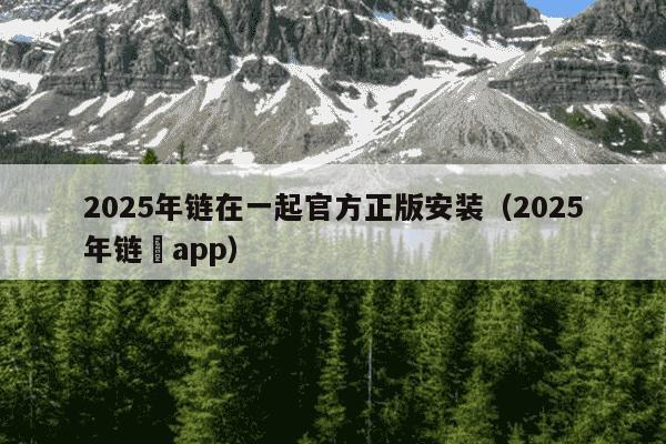 2025年链在一起官方正版安装（2025年链氿app）
