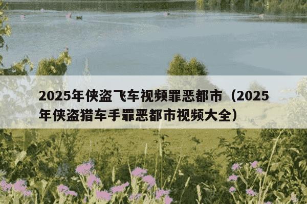 2025年侠盗飞车视频罪恶都市（2025年侠盗猎车手罪恶都市视频大全）