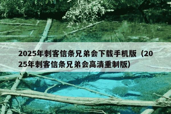 2025年刺客信条兄弟会下载手机版（2025年刺客信条兄弟会高清重制版）