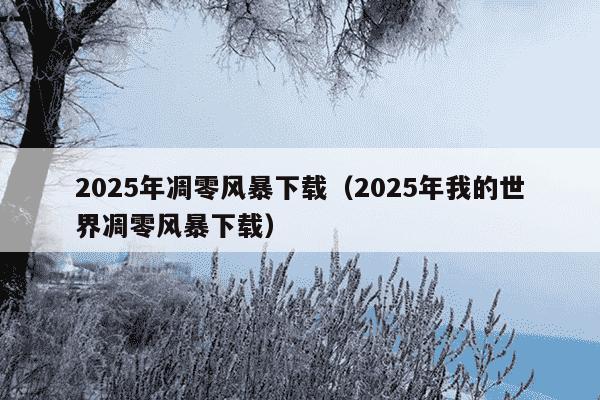 2025年凋零风暴下载(2025年我的世界凋零风暴下载)
