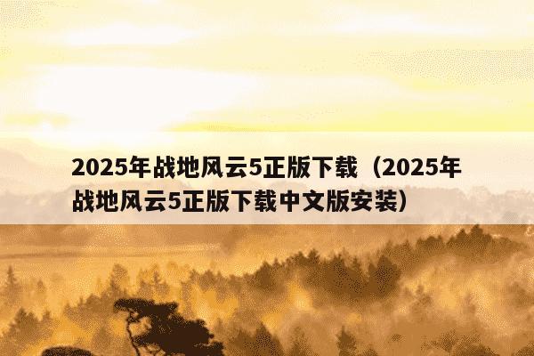 2025年战地风云5正版下载（2025年战地风云5正版下载中文版安装）