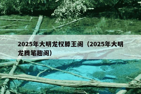 2025年大明龙权滕王阁(2025年大明龙腾笔趣阁)