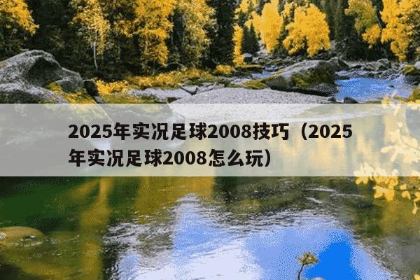 2025年实况足球2008技巧(2025年实况足球2008怎么玩)