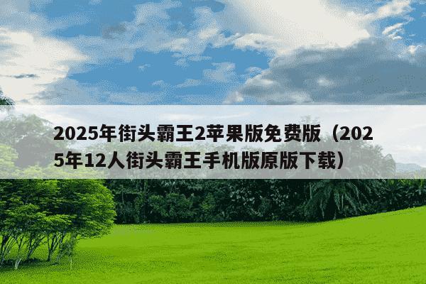 2025年街头霸王2苹果版免费版（2025年12人街头霸王手机版原版下载）