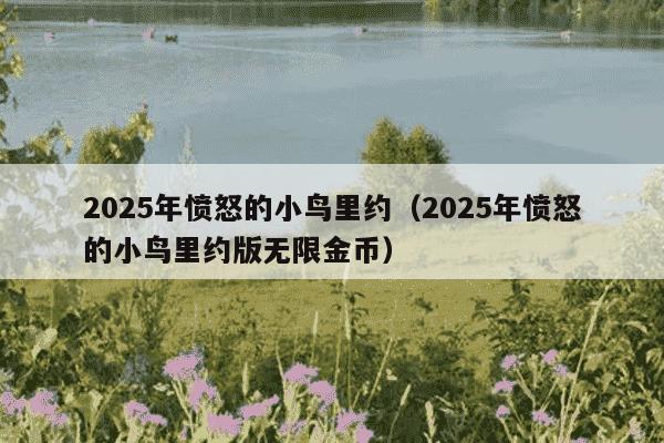 2025年愤怒的小鸟里约（2025年愤怒的小鸟里约版无限金币）