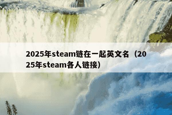 2025年steam链在一起英文名（2025年steam各人链接）
