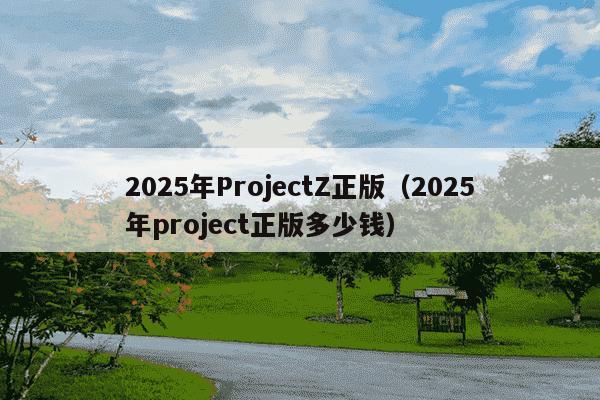 2025年ProjectZ正版(2025年project正版多少钱)