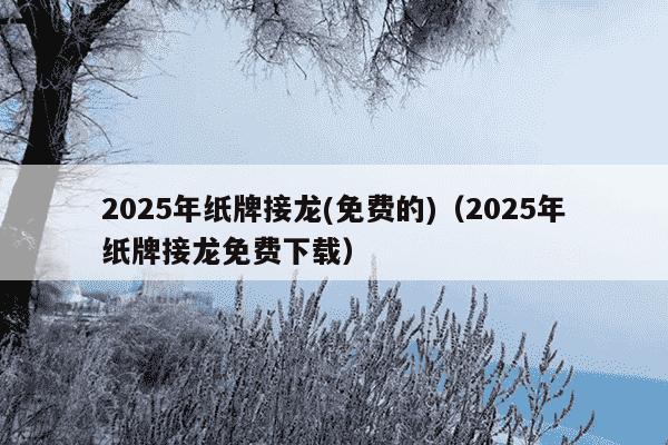 2025年纸牌接龙(免费的)（2025年纸牌接龙免费下载）