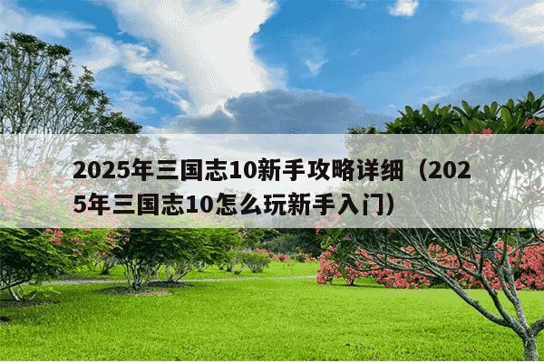 2025年三国志10新手攻略详细（2025年三国志10怎么玩新手入门）
