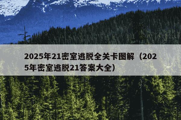 2025年21密室逃脱全关卡图解(2025年密室逃脱21答案大全)