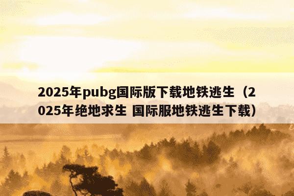 2025年pubg国际版下载地铁逃生（2025年绝地求生 国际服地铁逃生下载）