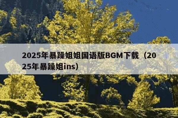 2025年暴躁姐姐国语版BGM下载（2025年暴躁姐ins）