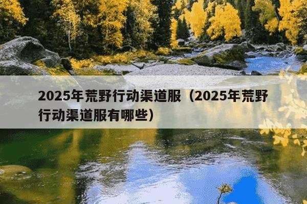 2025年荒野行动渠道服(2025年荒野行动渠道服有哪些)