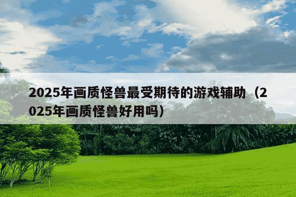 2025年画质怪兽最受期待的游戏辅助（2025年画质怪兽好用吗）