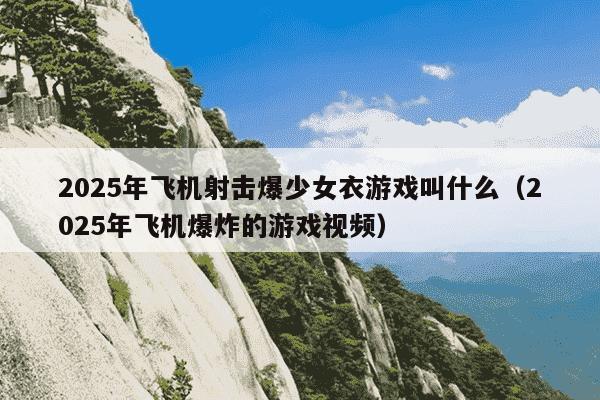 2025年飞机射击爆少女衣游戏叫什么(2025年飞机爆炸的游戏视频)