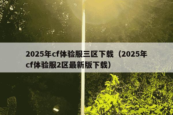 2025年cf体验服三区下载（2025年cf体验服2区最新版下载）