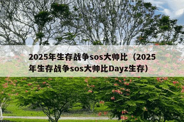 2025年生存战争sos大帅比(2025年生存战争sos大帅比Dayz生存)