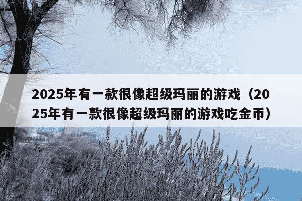 2025年有一款很像超级玛丽的游戏(2025年有一款很像超级玛丽的游戏吃金币)