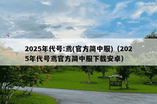 2025年代号:鸢(官方简中服)(2025年代号鸢官方简中服下载安卓)