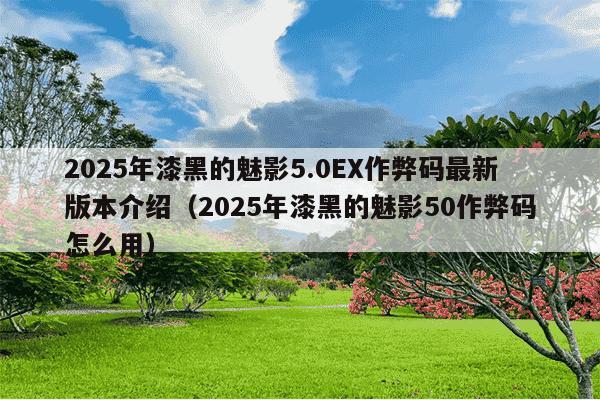 2025年漆黑的魅影5.0EX作弊码最新版本介绍(2025年漆黑的魅影50作弊码怎么用)