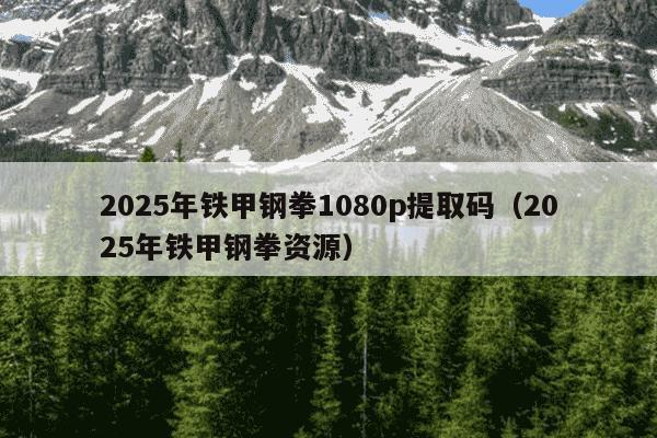 2025年铁甲钢拳1080p提取码(2025年铁甲钢拳资源)