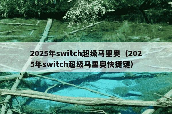 2025年switch超级马里奥(2025年switch超级马里奥快捷键)
