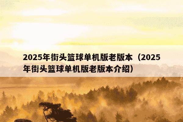 2025年街头篮球单机版老版本(2025年街头篮球单机版老版本介绍)