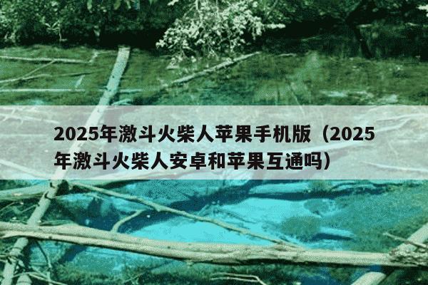 2025年激斗火柴人苹果手机版(2025年激斗火柴人安卓和苹果互通吗)