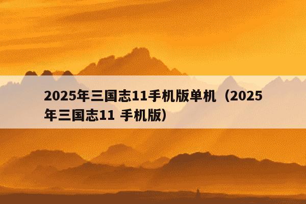 2025年三国志11手机版单机（2025年三国志11 手机版）